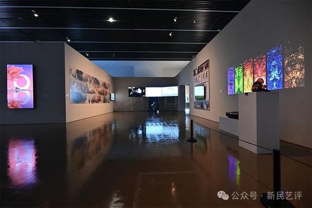 科技艺术融合带来新体验——第14届全国美展为何首次引入数字艺术？