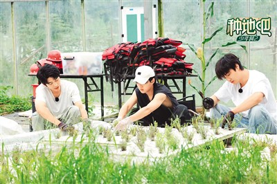 九游娱乐：视听新媒体产业展现勃勃生机(图3)