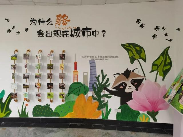 九游娱乐：申城首个“貉谐相处”社区科普馆建成：遇到貉别害怕(图2)