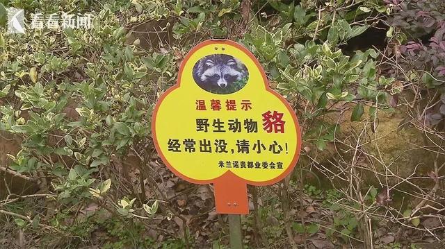 上海超300个小区发现“奇怪”小动物！有小区专门建了科普馆→(图7)