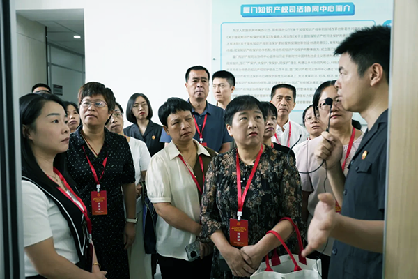 九游娱乐文化：监督不走过场！人大代表“沉浸式”打卡法院都看了啥说了啥？(图5)