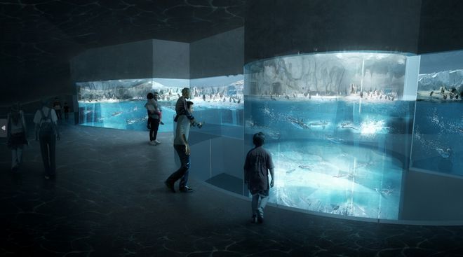加载完毕！东莞家门口「最大海洋主题公园」国庆开票！！！(图5)