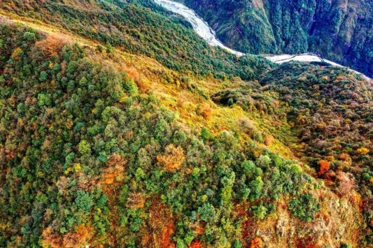 成都文旅亮相2024宁波国际旅游展邀您“到成都街头走一走”(图1)