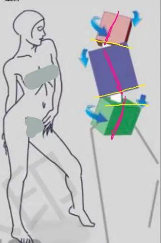 九游娱乐：B站大佬形体之美干货分享！(图2)