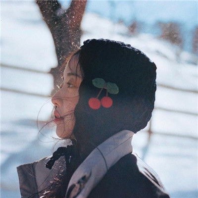 四不像澳门2023年