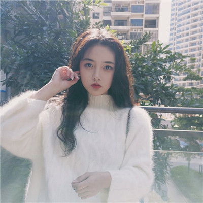 四不像澳门2023年(图2)