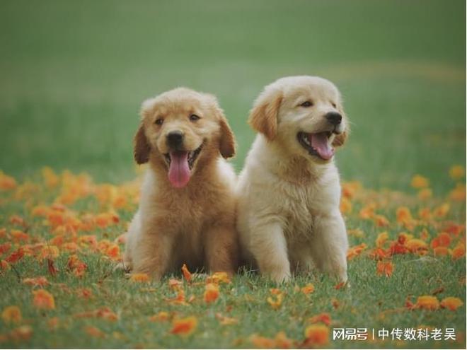 九游娱乐：安徽中传数字揭秘三维动画成本预算不迷茫质量有保障(图1)