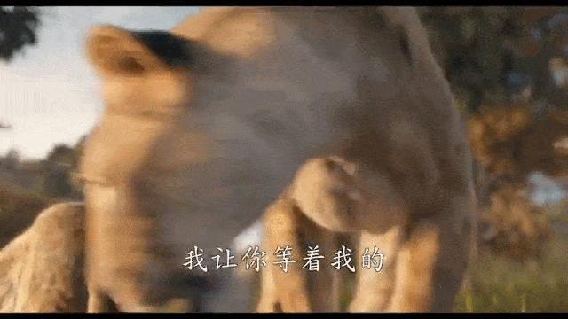九游娱乐文化：我要住在电影院！！2024年末动画电影大盘点！！(图33)