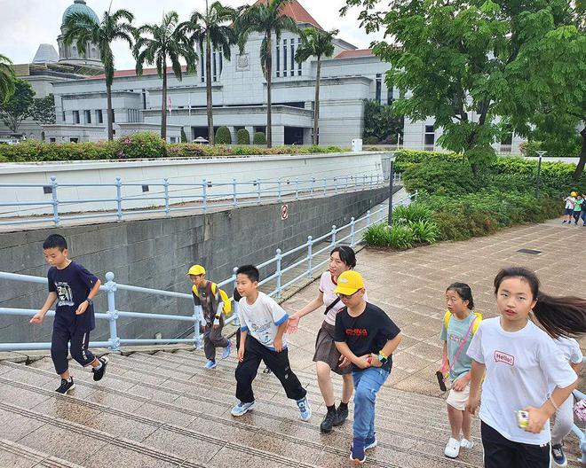 花园狮城自然有答案丨2025寒假6天5晚新加坡自然生态研学独立营(图3)