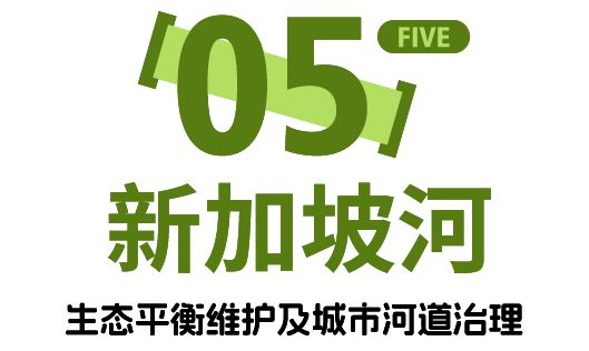 花园狮城自然有答案丨2025寒假6天5晚新加坡自然生态研学独立营(图10)