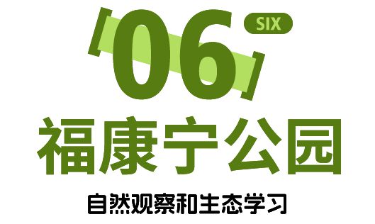 花园狮城自然有答案丨2025寒假6天5晚新加坡自然生态研学独立营(图12)