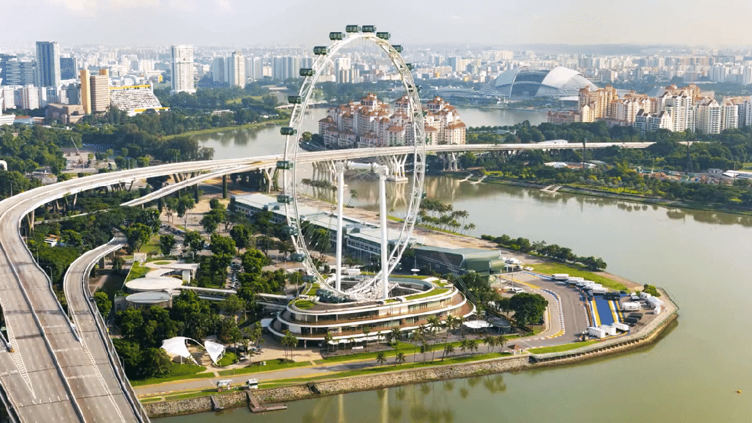 花园狮城自然有答案丨2025寒假6天5晚新加坡自然生态研学独立营(图11)