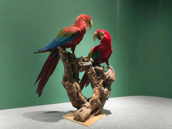 上新！丰台又添一家“类博物馆”(图4)