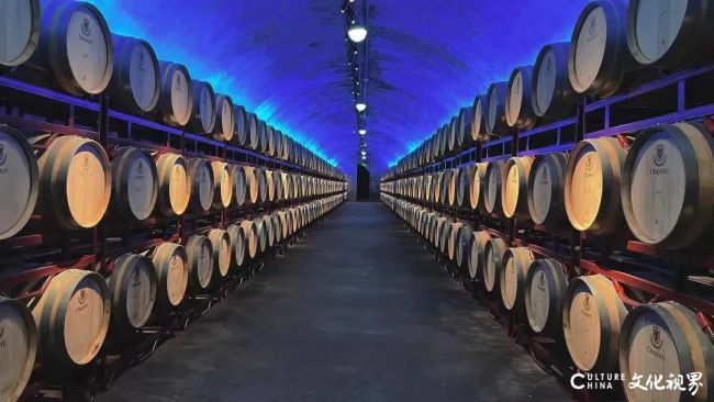 新之航设计施工的张裕酒文化博物馆获选“2024全国博物馆融合发展创新案例”(图26)