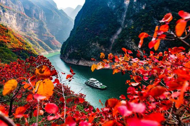 九游娱乐文化：年终讲（三）2024我们获得的那些奖项(图3)