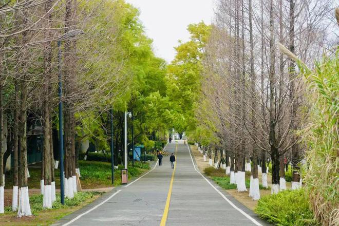 破100亿！世界动画新历史！成都这里造出来(图13)