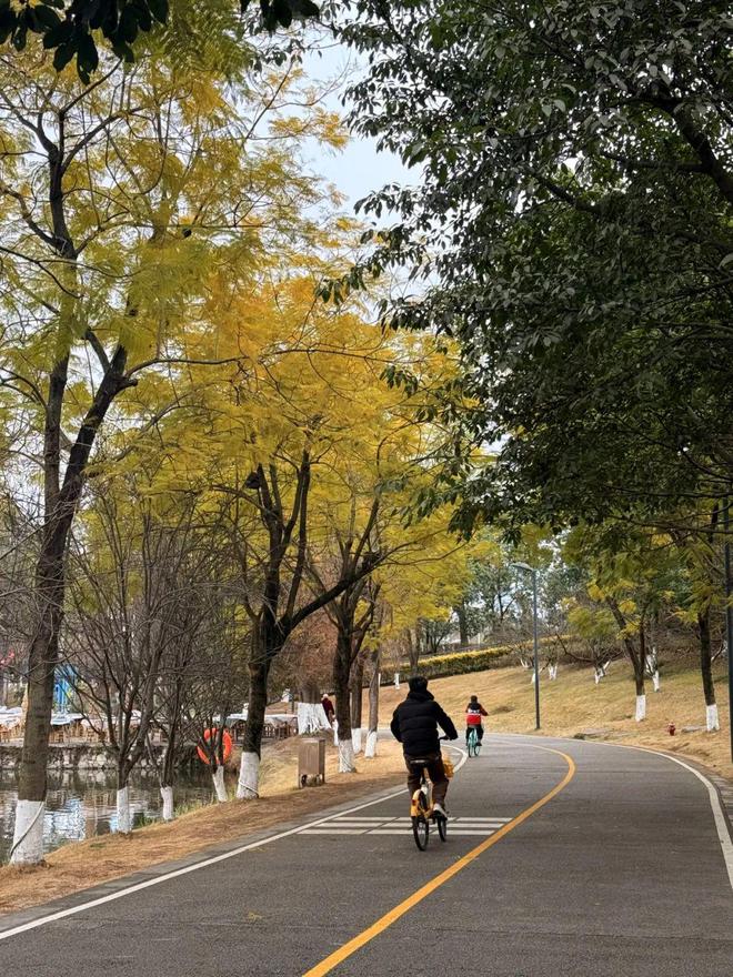 破100亿！世界动画新历史！成都这里造出来(图11)