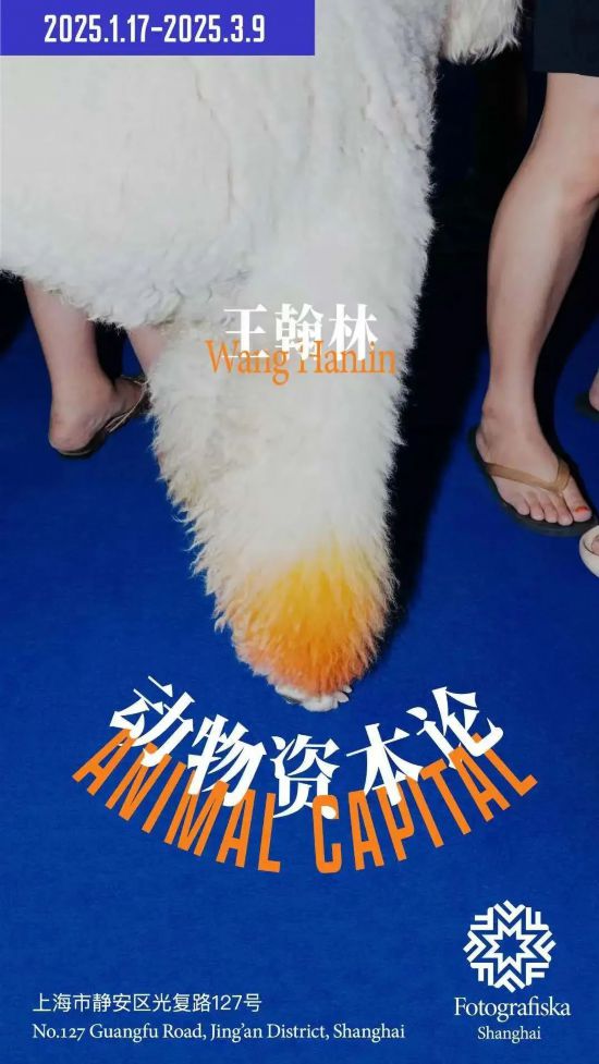 元宵佳节赏花灯、西岸大剧院《情书》音乐会上海本周文旅生活指南来了(图19)