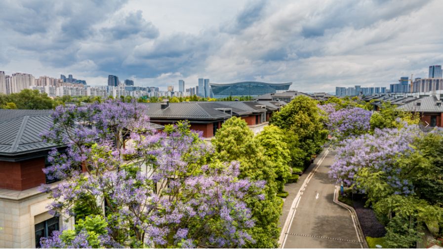 九游娱乐：破105亿！揭秘《哪吒2》诞生地的“流量密码”(图4)