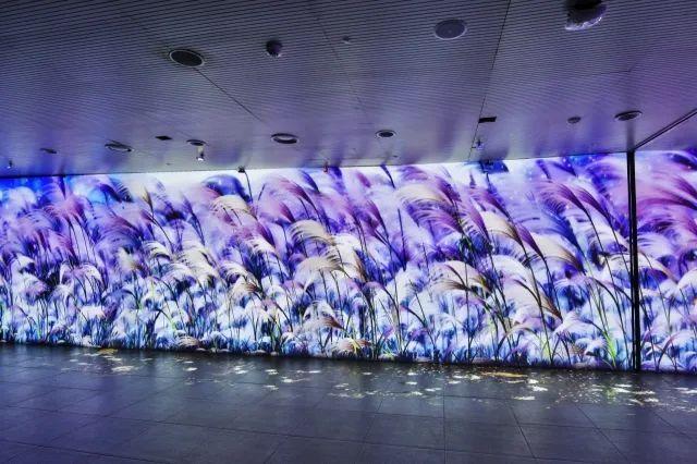 海外资讯丨技术与创新：打造博物馆无界文化体验的新时代(图7)