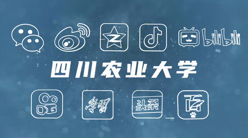 九游娱乐：票房破140亿！川农学子参与《哪吒》制作！(图4)