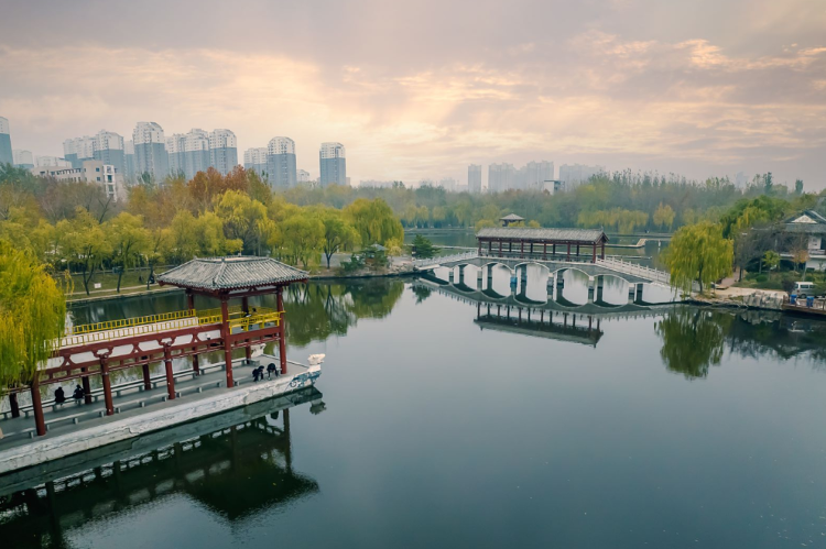 望岳谈｜山东文旅：以德为先勇立潮头(图3)