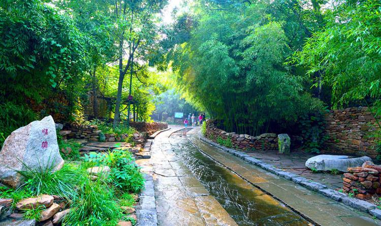 望岳谈｜山东文旅：以德为先勇立潮头(图13)