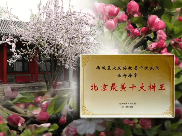 九游娱乐：五一打卡哪里去？推荐中华人民共和国名誉主席宋庆龄同志故居！(图6)