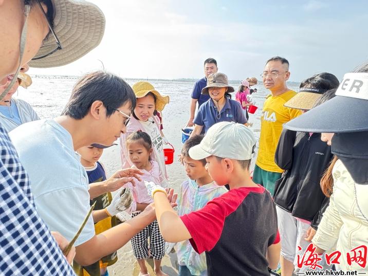 全省唯一！海口北港岛入选2025年“美丽中国我是行动者”先进典型(图4)