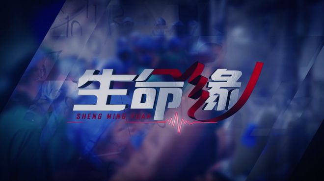 超清晰超丰富超美好!北京卫视4K超高清频道全新亮相(图7)