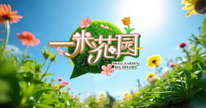 超清晰超丰富超美好!北京卫视4K超高清频道全新亮相(图10)