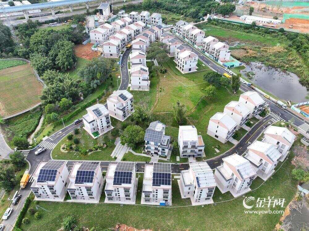 风吹稻浪梦金黄“羊城八景”专家组探寻黄埔治愈系风光(图2)