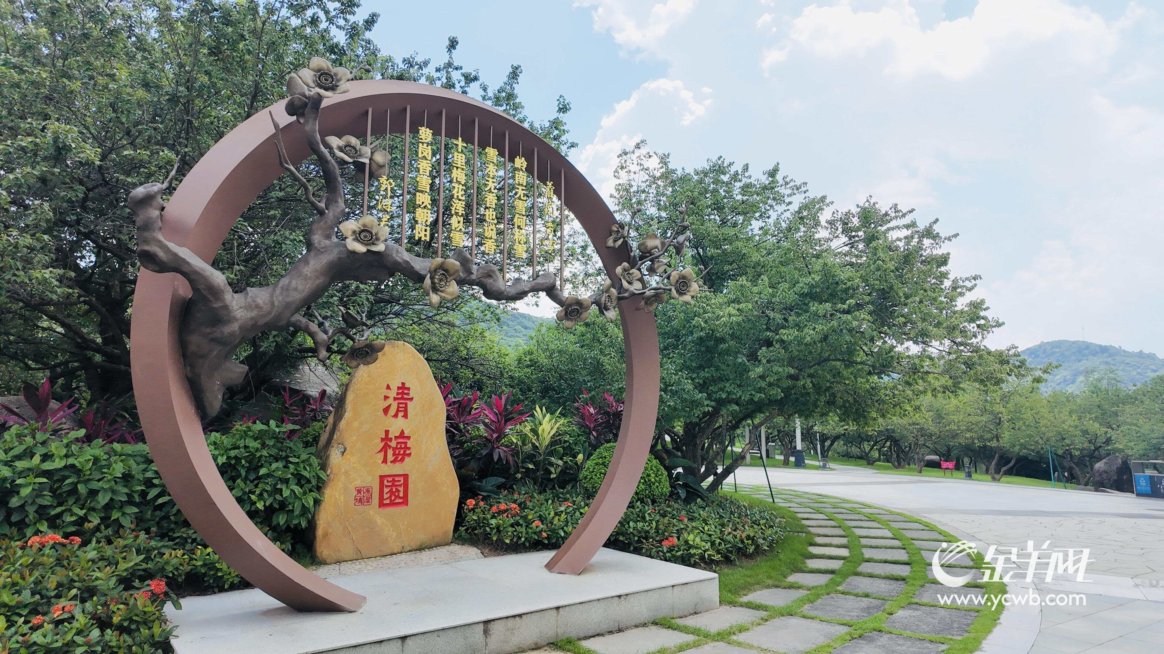 风吹稻浪梦金黄“羊城八景”专家组探寻黄埔治愈系风光(图5)