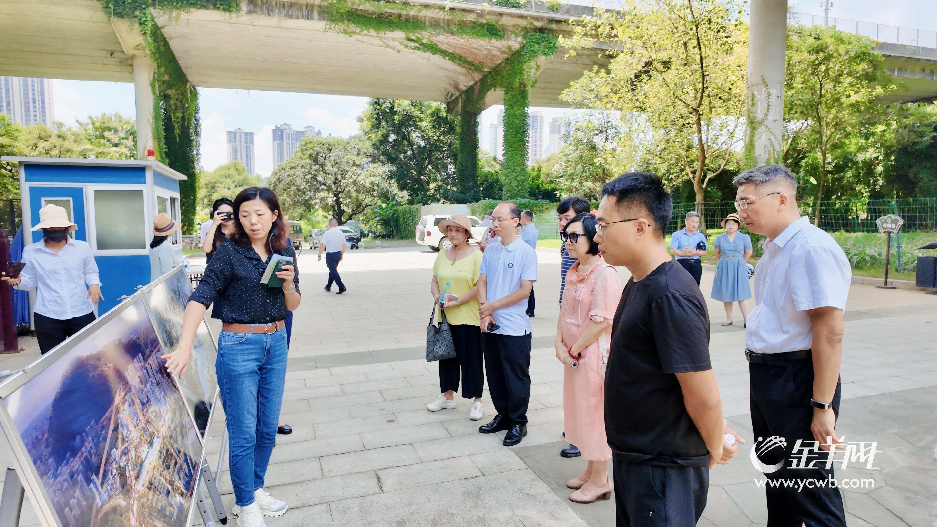 风吹稻浪梦金黄“羊城八景”专家组探寻黄埔治愈系风光(图6)