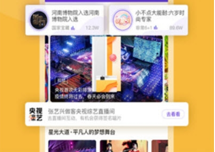 九游娱乐文化：央视文艺(图1)