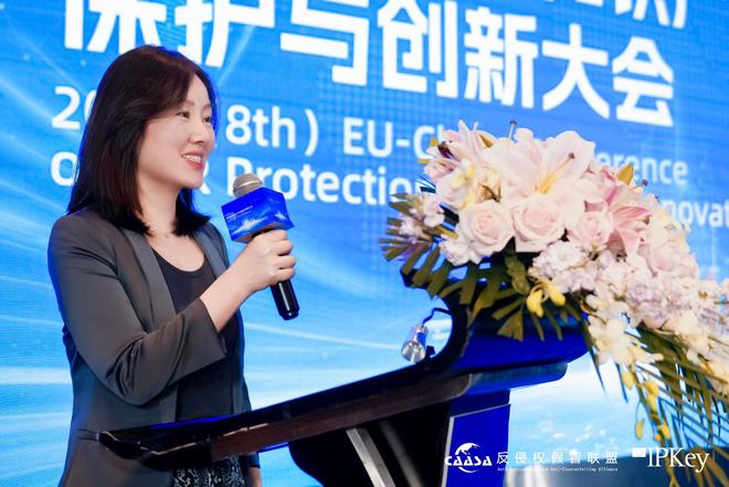 九游娱乐文化：2025(第八届)中欧互联网知识产权保护与创新大会在京成功举办!共探数字时代知识产权治理新挑战(图10)