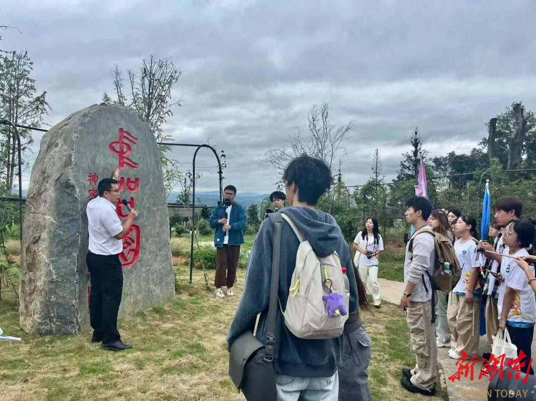 九游娱乐文化：“会同月”点亮“中国美”(图5)