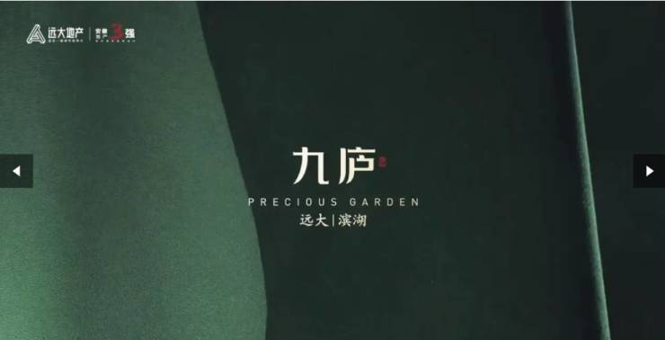 九游娱乐：远大九庐【合肥新计容楼盘推荐】(图5)