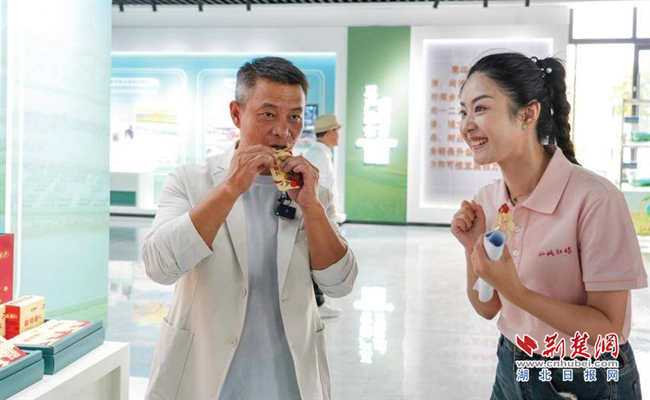 仙桃市社科联：“三维融合”构建社科普及新格局(图2)