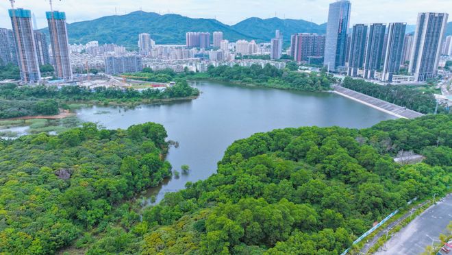 九游娱乐文化：深圳龙华：鹏宸云筑·封藏改善大盘89-139㎡新规小高层新房(图10)