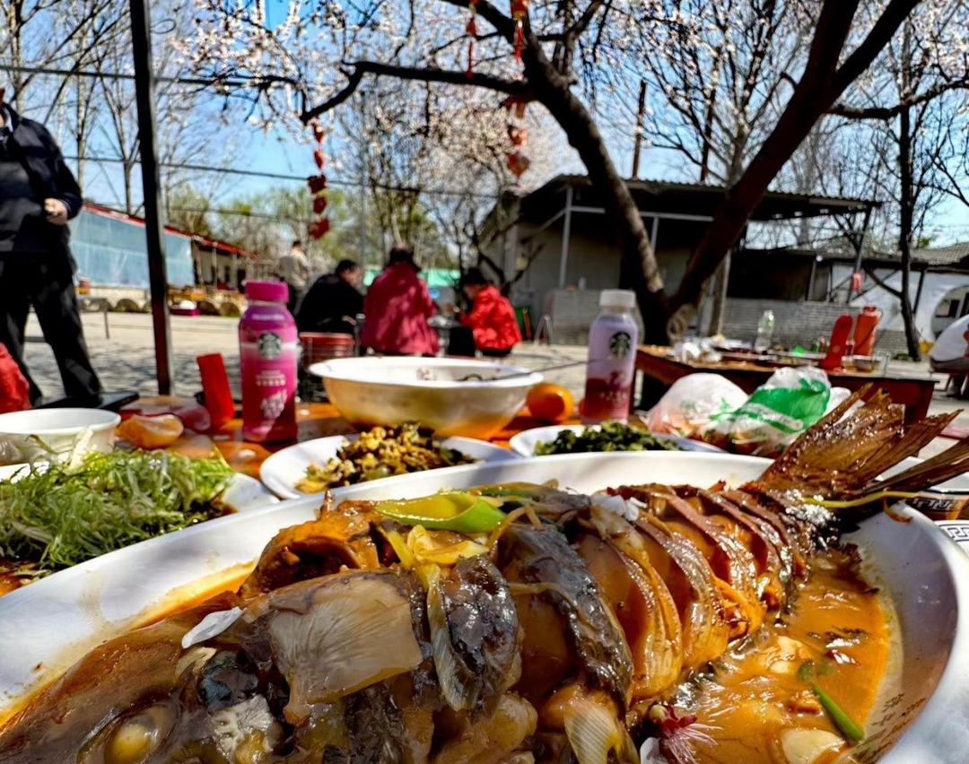 九游娱乐：党媒联动｜黄河好鱼知道(图5)