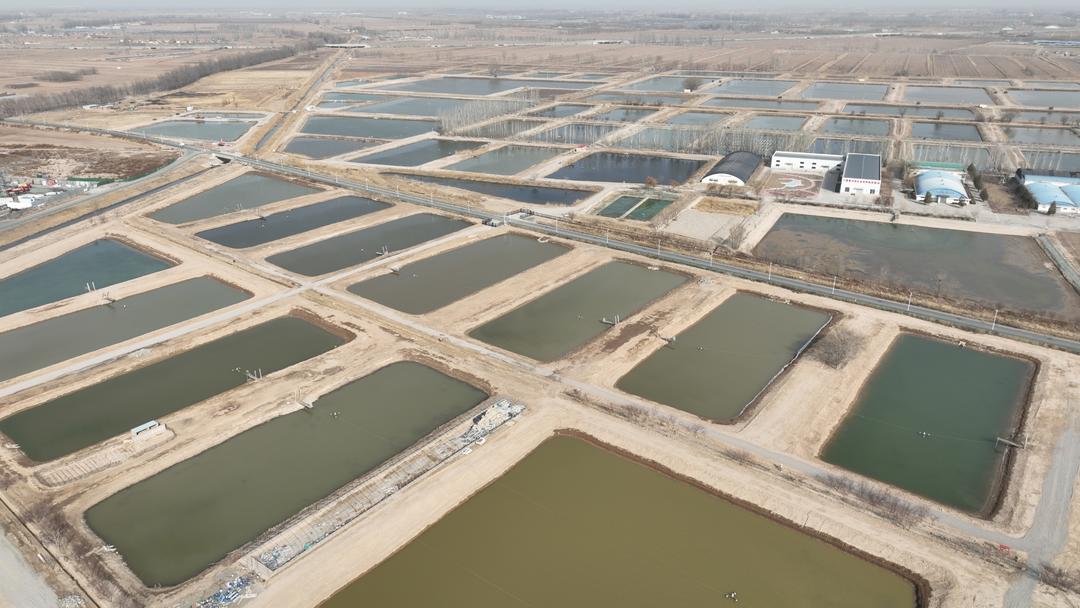 九游娱乐：党媒联动｜黄河好鱼知道(图10)