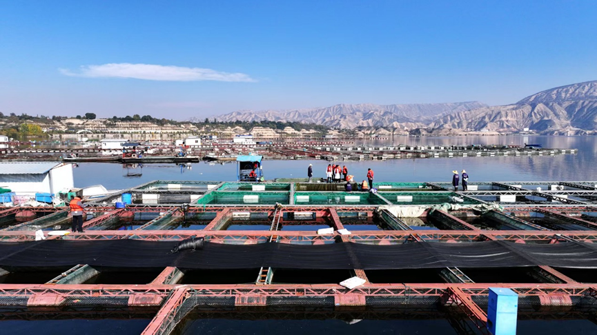 九游娱乐：党媒联动｜黄河好鱼知道(图12)