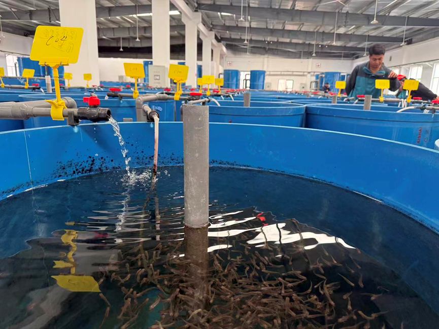 九游娱乐：党媒联动｜黄河好鱼知道(图14)