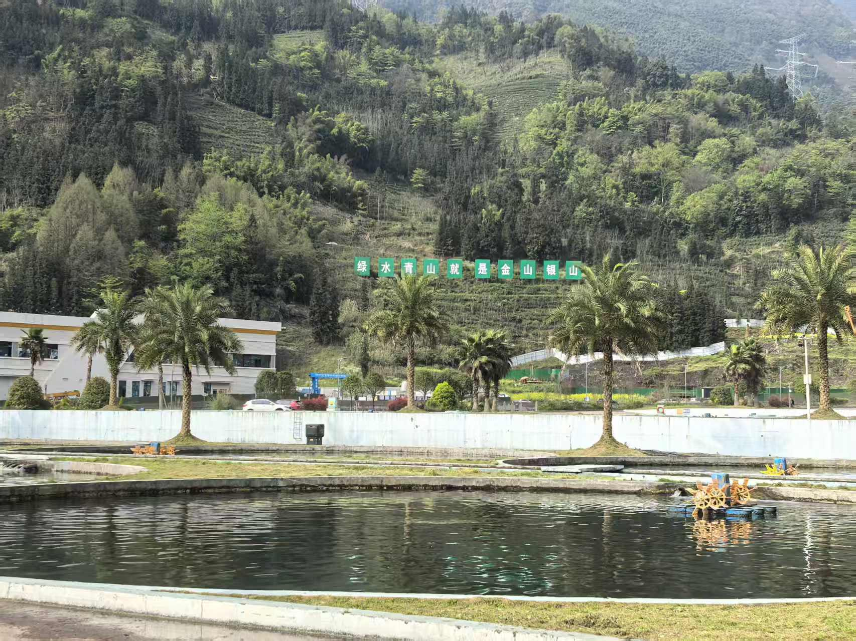 九游娱乐：法智融合绘“雅”卷平安护航谱新“安”(图5)