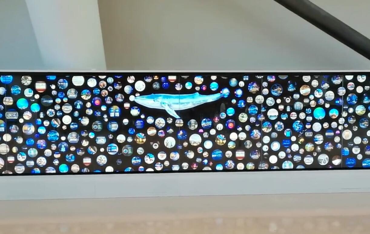 多媒体互动墙-数字互动墙-多媒体展示墙